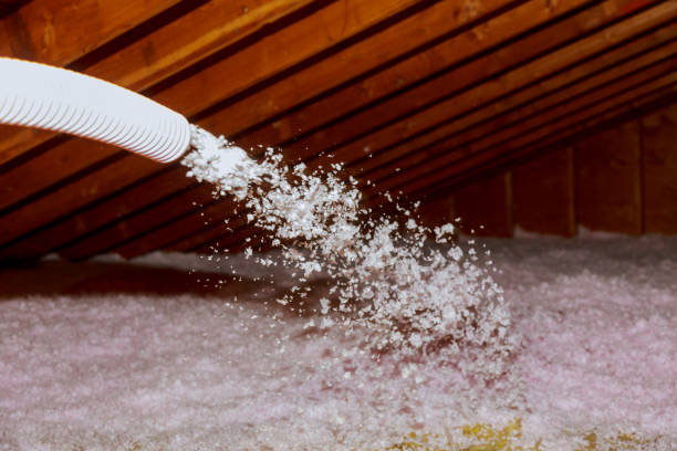 Best Geographic-Specific Insulation Services in Francis, UT