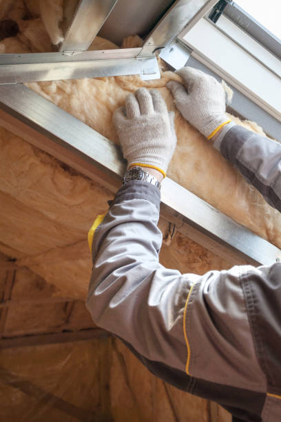 Best Insulation Maintenance and Repair in Francis, UT