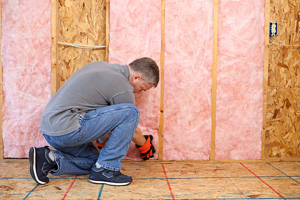 Best Blown-in Insulation in Francis, UT