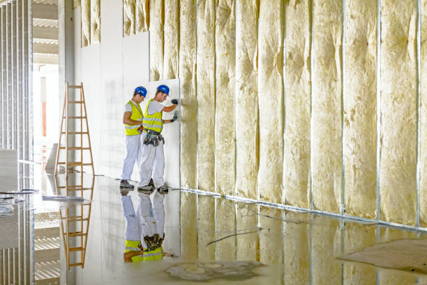 Best Residential Insulation in Francis, UT
